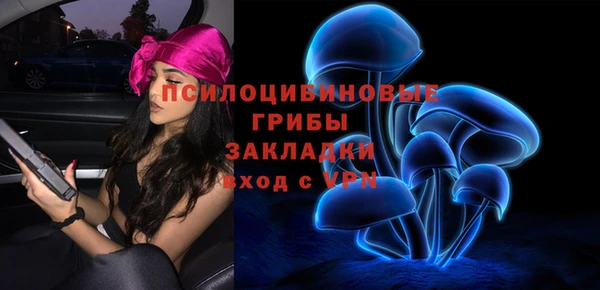 ПСИЛОЦИБИНОВЫЕ ГРИБЫ Киреевск